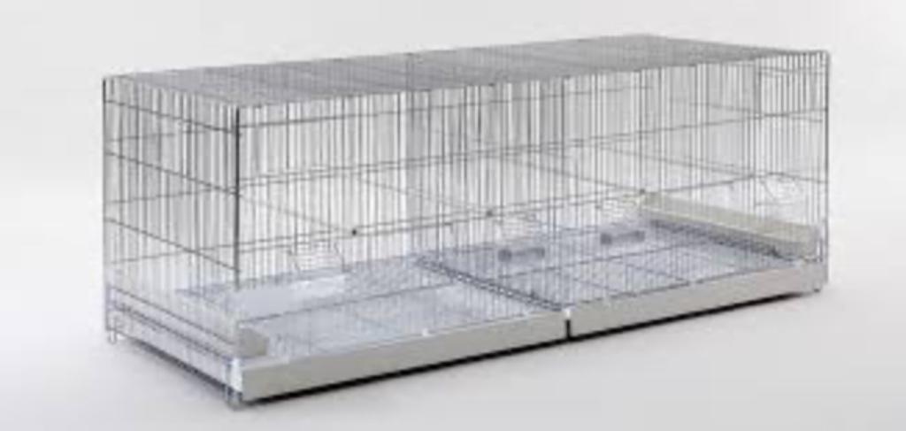 Cages DOMUS MOLINARI, Animaux & Accessoires, Enlèvement, Neuf, Métal, Cage d'élevage