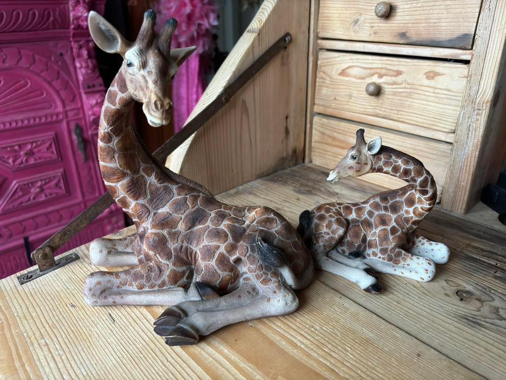 2 giraffen, Ophalen, Zo goed als nieuw