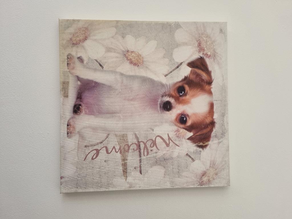 Cadre photo chihuahua., Moins de 50 cm, Enlèvement ou Envoi, Comme neuf, Bois