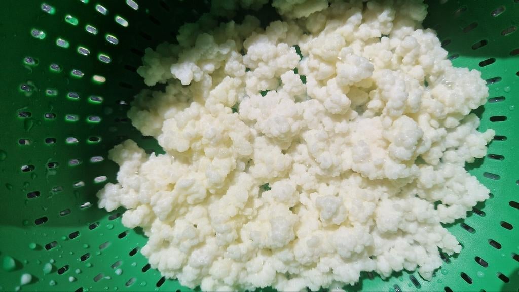 Yoghurt  melkkefir, Diversen, Levensmiddelen, Ophalen