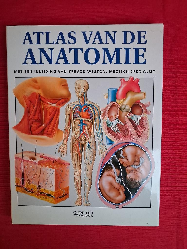 De nombreux livres sur la naturopathie 3, Enlèvement ou Envoi, Diverse auteurs, Comme neuf, Autres sujets/thèmes