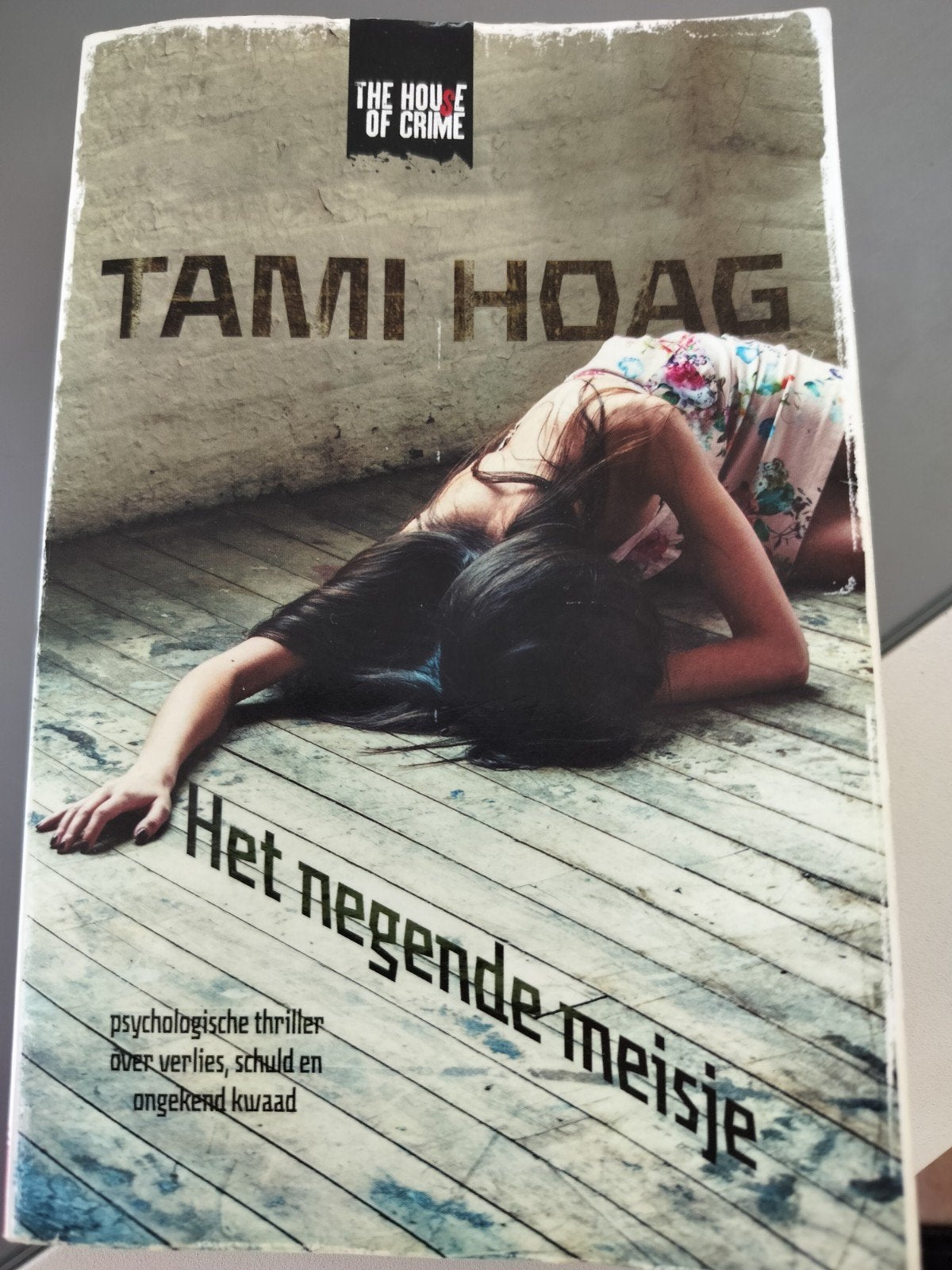 Het negende meisje, Gelezen, Ophalen of Verzenden, Tami Hoag, Amerika