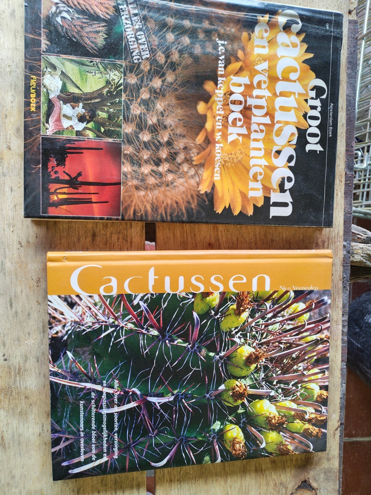 verzamelboeken over cactussen en vetplanten, Ophalen
