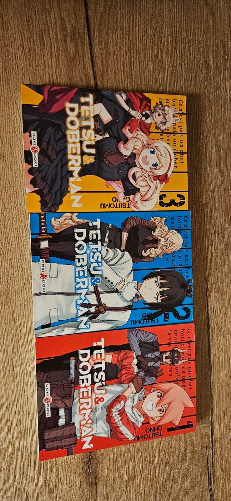Mangas Tetsu & Doberman – Tomes 1, 2 et 3, Enlèvement