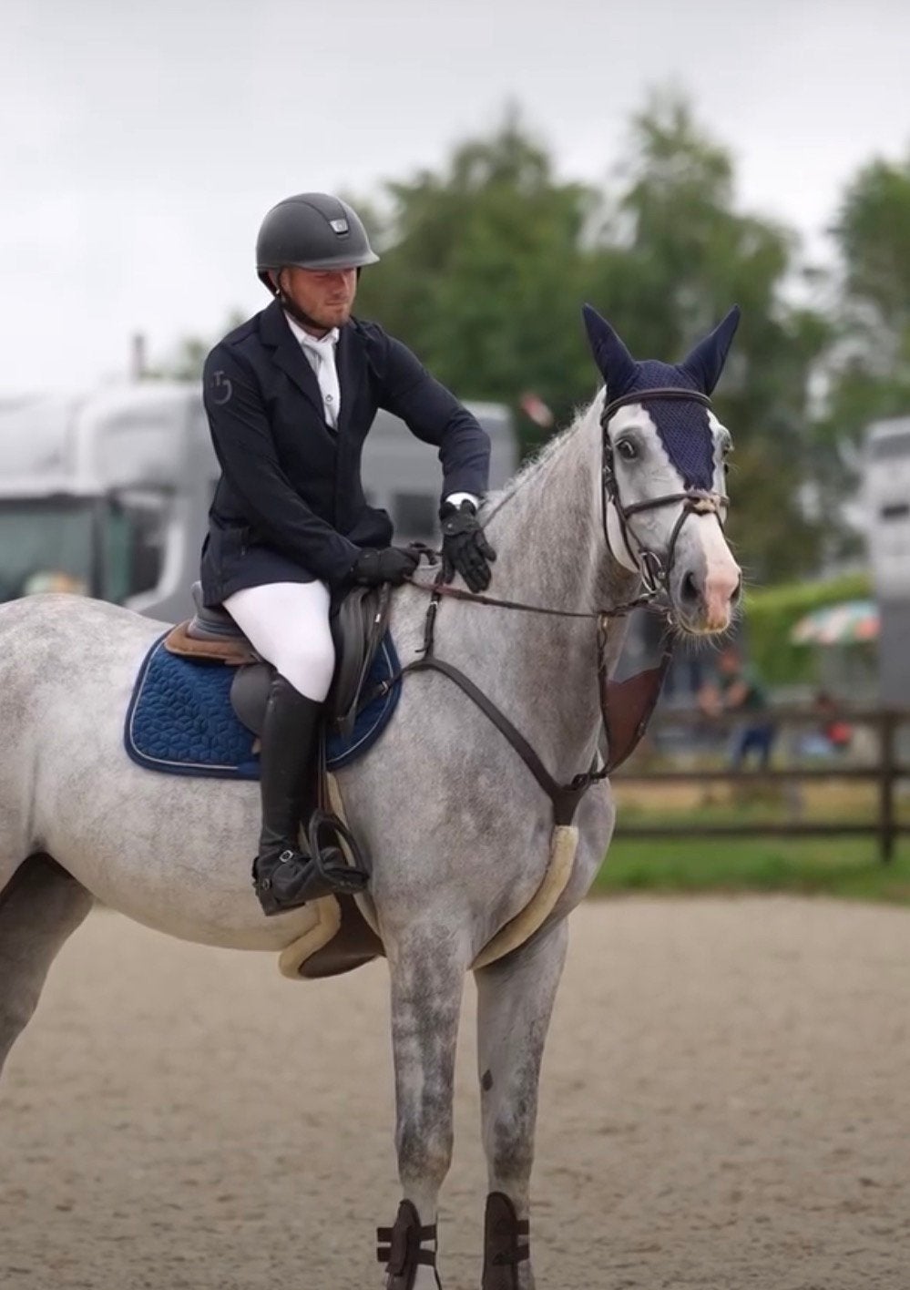 Springlessen, Dieren en Toebehoren, Paarden