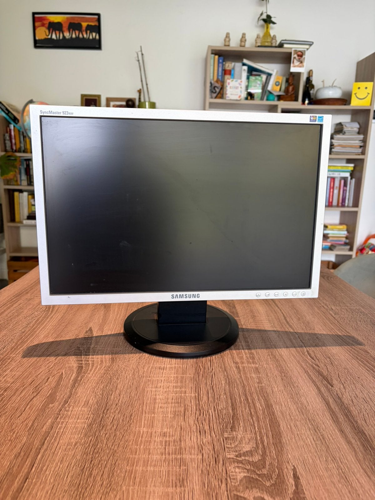 Samsung SyncMaster 923NW – computerscherm 19 inch, Gebruikt, Ophalen of Verzenden, Overige typen, Overige resoluties