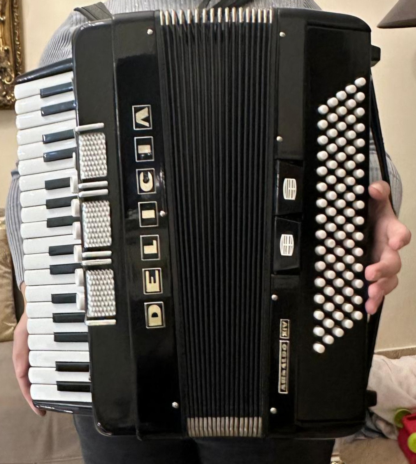 Delicia kooraccordeon, Muziek en Instrumenten, Ophalen, Delicia