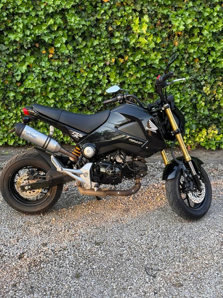 Honda Grom msx-125, Motoren, Particulier, Overig, 11 kW of minder, Handgeschakeld