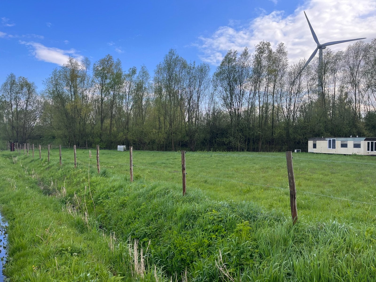 PAARDENWEIDE TE HUUR
