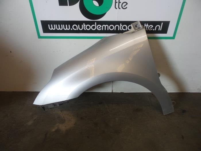 Aile avant gauche d'un Citroen C4 (C4 04-) (EZR), -, 3 mois de garantie, Utilisé, -
