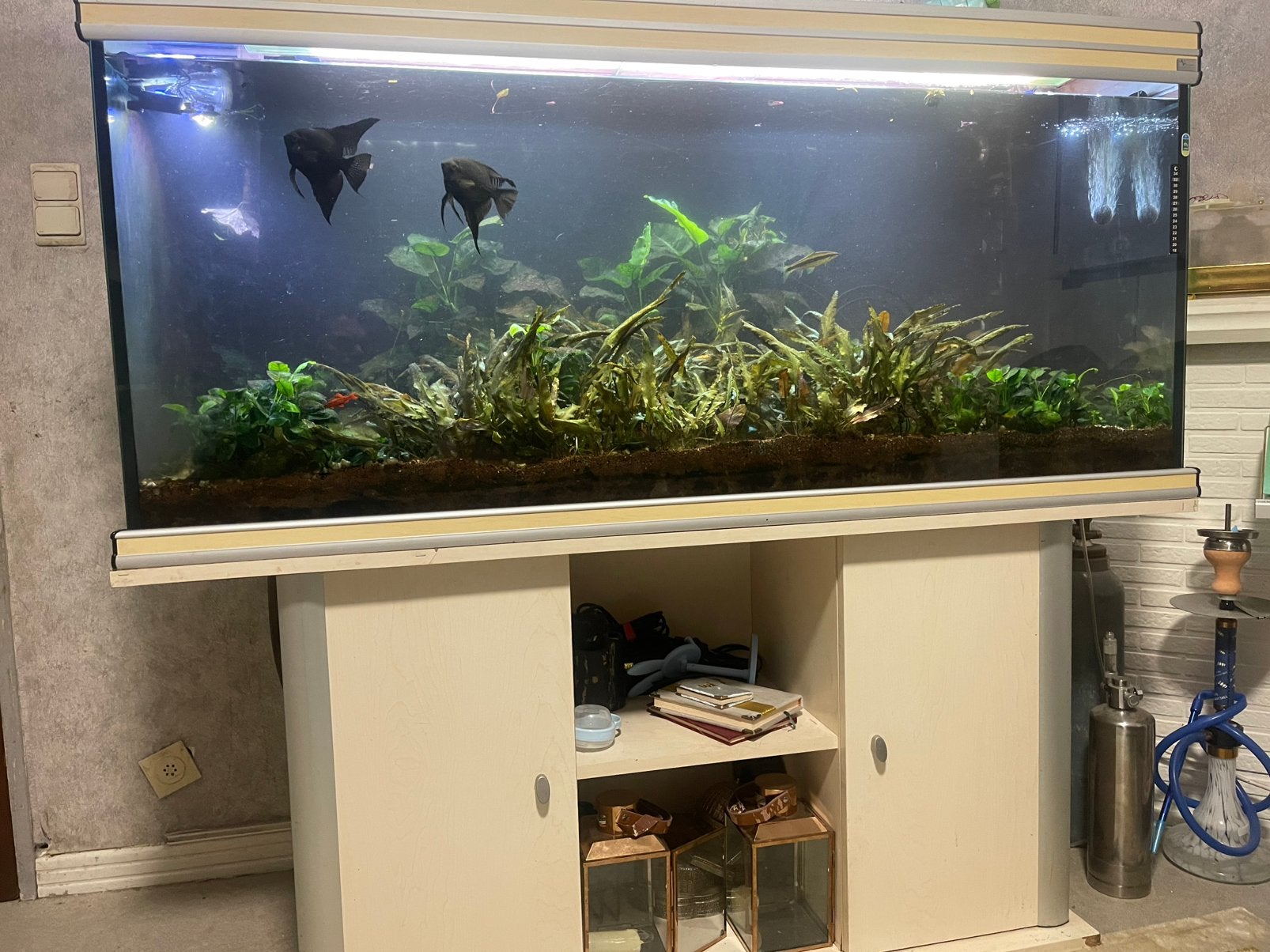 aquarium, Dieren en Toebehoren, Ophalen, Zo goed als nieuw
