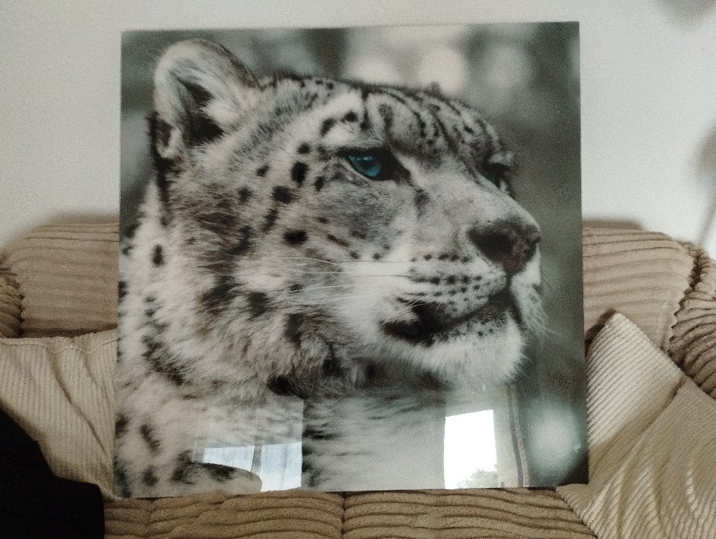 Cadre Léopard noir et blanc 90cm sur90cm, Maison & Meubles, Comme neuf, Enlèvement, Autres matériaux, Blanc