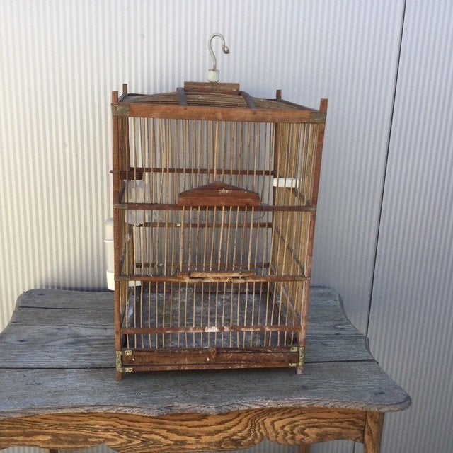 Oude vogelkooi, Enlèvement