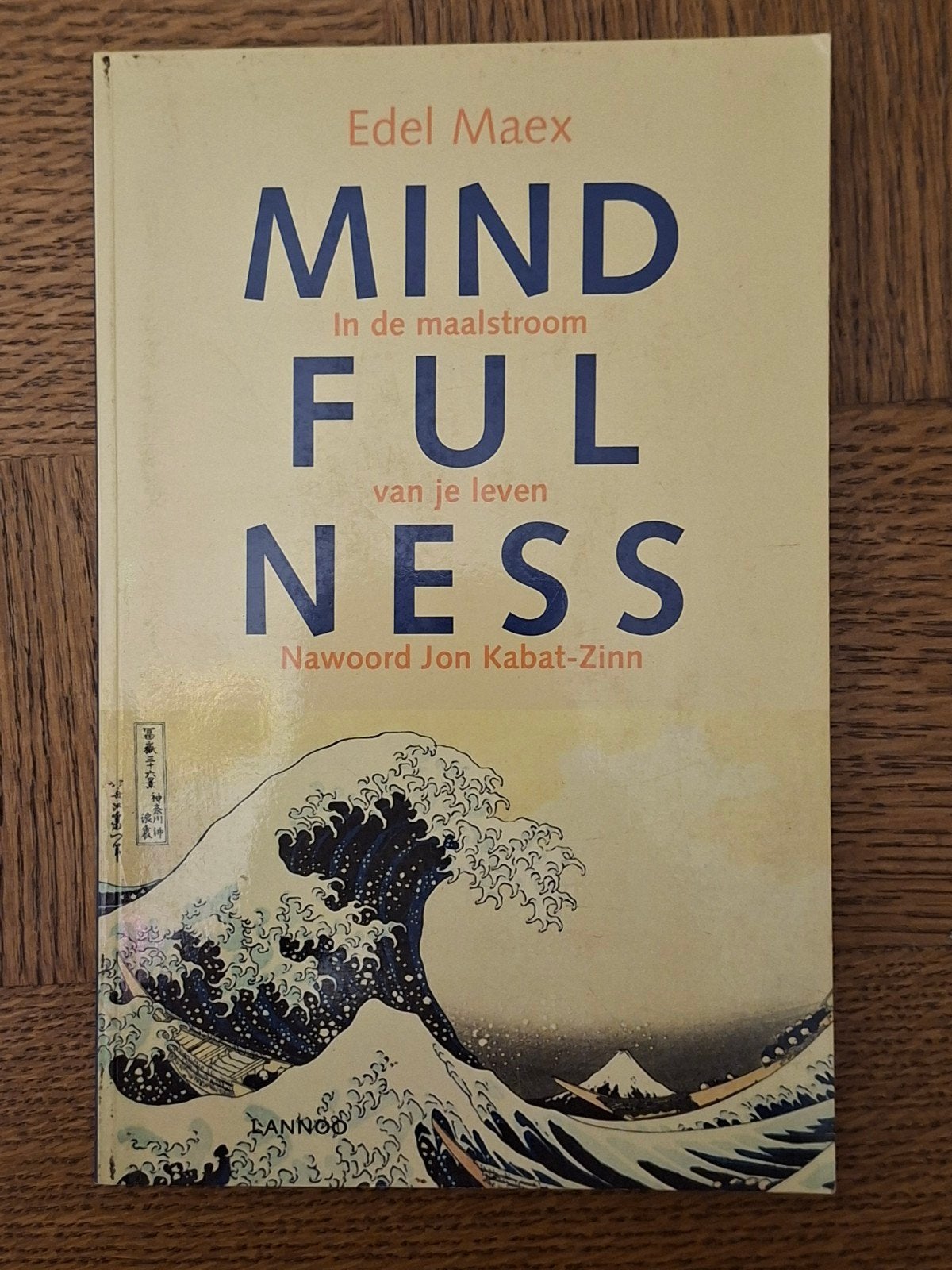 Edel Maex - Mindfulness, Livres, Ésotérisme & Spiritualité, Enlèvement ou Envoi, Edel Maex