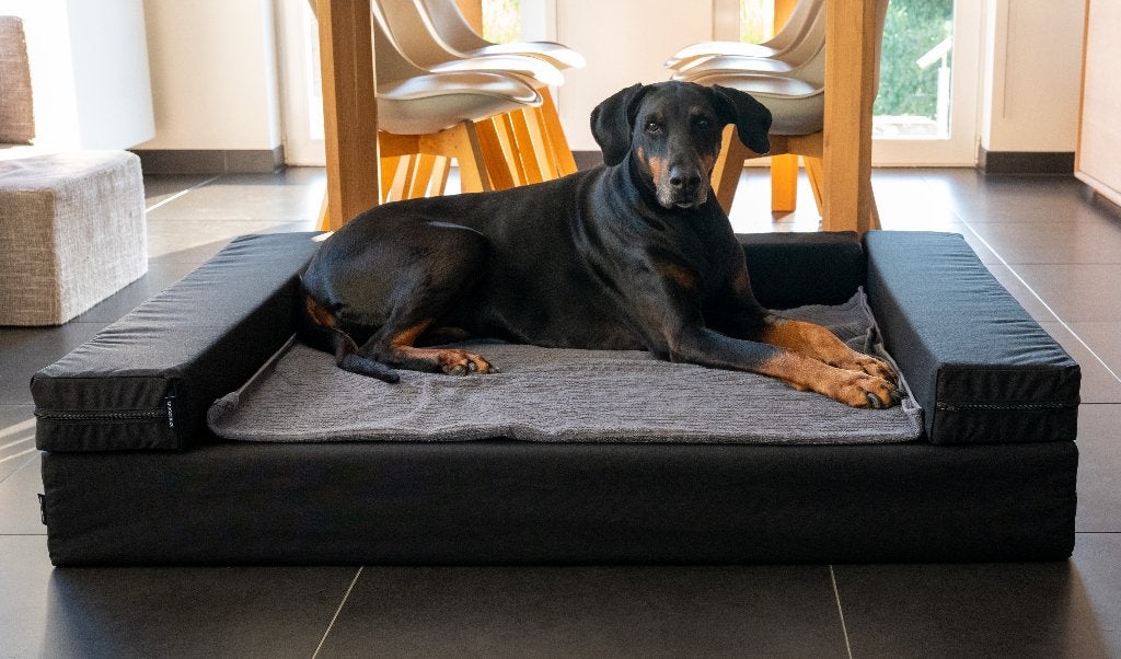 Orthopedische hondenmand voor grote honden - Snoozeluxe, Ophalen of Verzenden, Nieuw, Overige