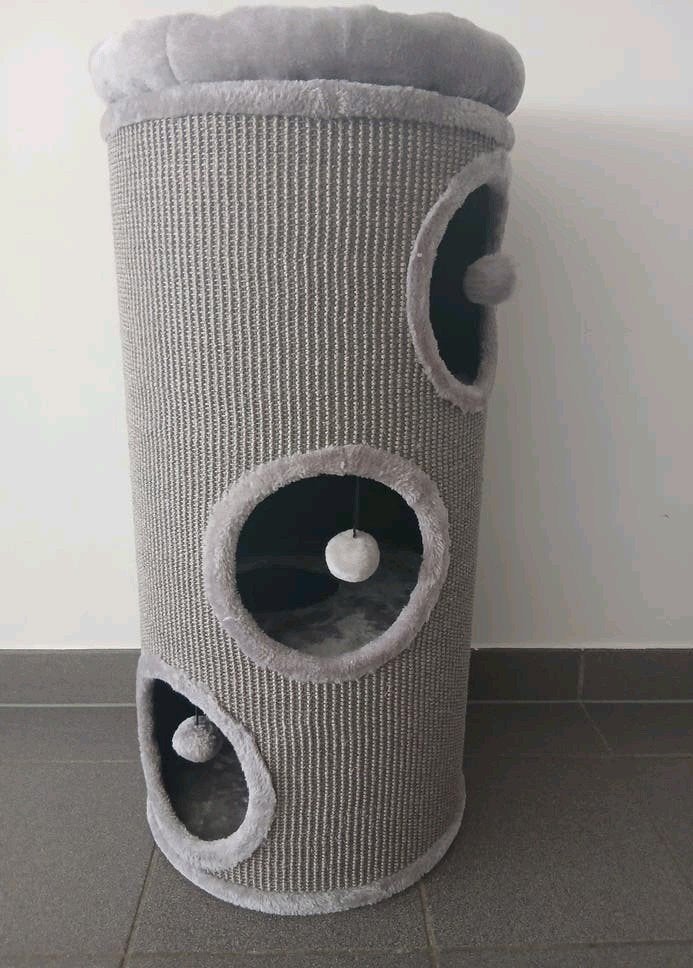 Nouvel arbre à chat, Animaux & Accessoires, Enlèvement, Neuf, Griffoir