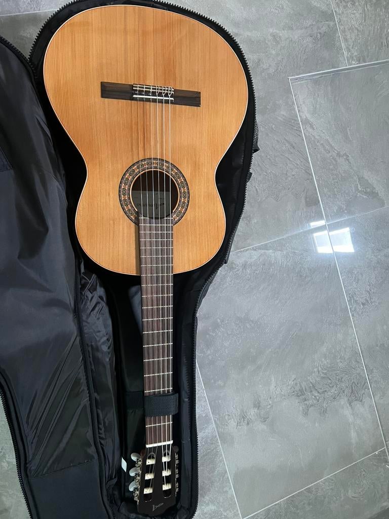 Gitaar met accecoires, Muziek en Instrumenten, Ophalen, Zo goed als nieuw