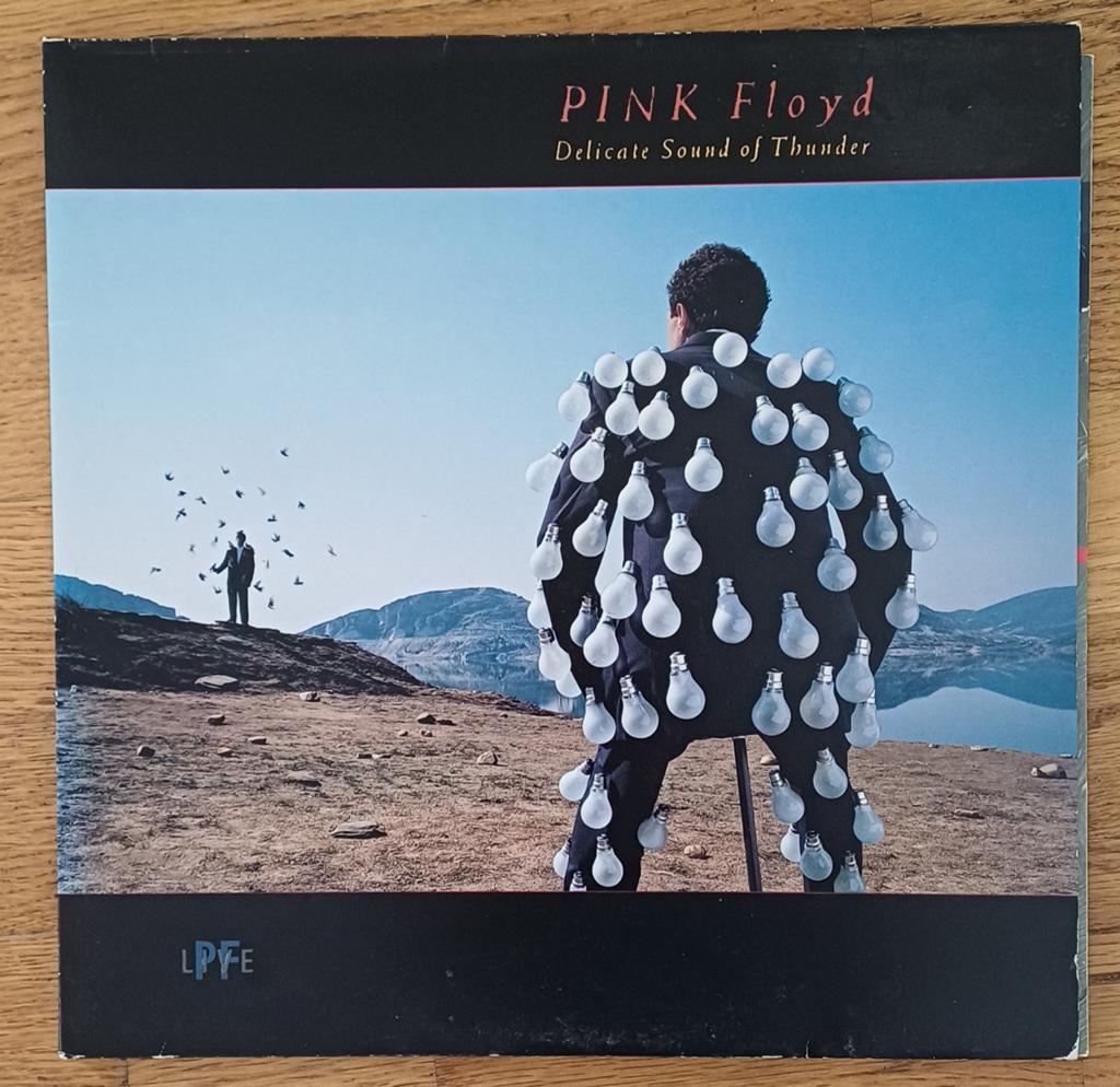Pink Floyd Ed 1988 Delicate Sound of Thunder vinyl, Cd's en Dvd's, Ophalen