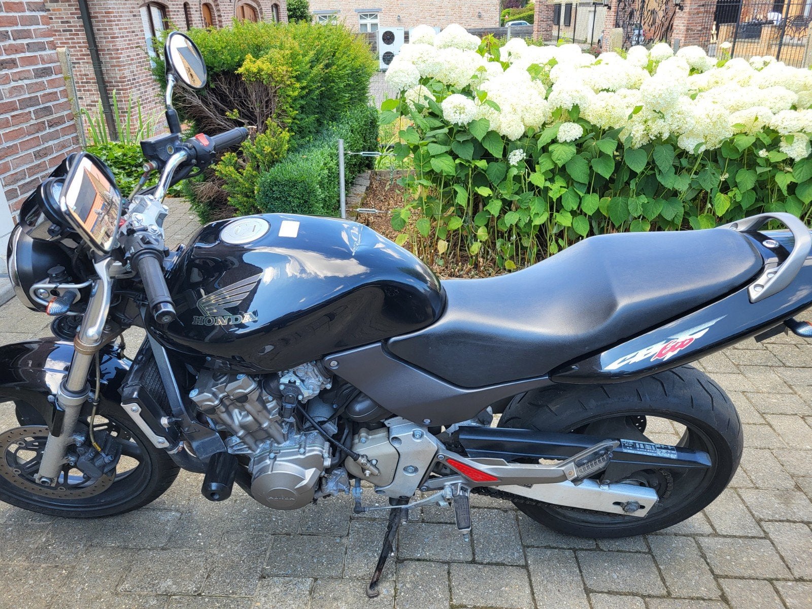 Honda cb600 hornet, Particulier