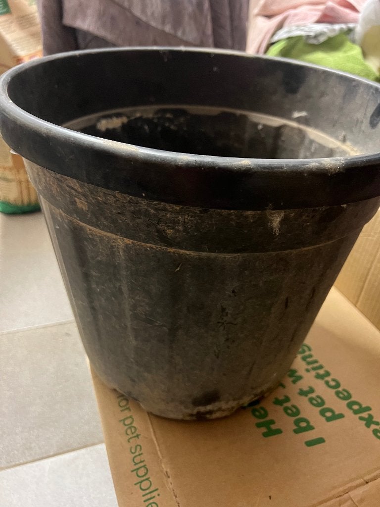 grote plantenkuip harde plastiek 36 x 31 cm, 25 tot 40 cm, Kunststof, Rond, Ophalen of Verzenden