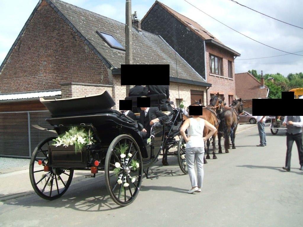 Landauer Paarden Koets Rijtuig Grand Luxe, Dieren en Toebehoren, Rijtuigen en Koetsen, Zo goed als nieuw, Gesloten
