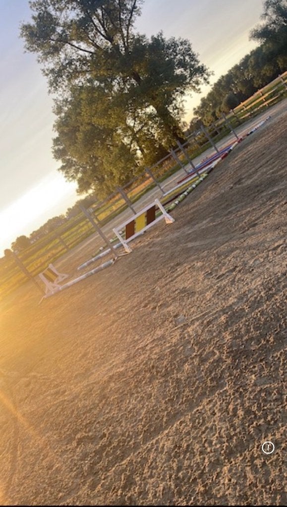 Stalling te huur, Dieren en Toebehoren, Stalling