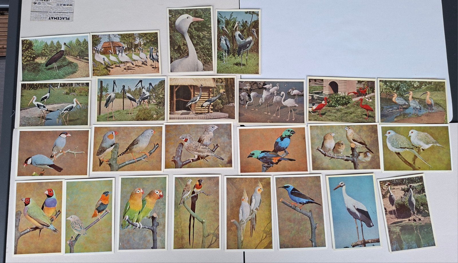 fotoprenten, Collections, Enlèvement ou Envoi, Comme neuf, Animal, Gravure