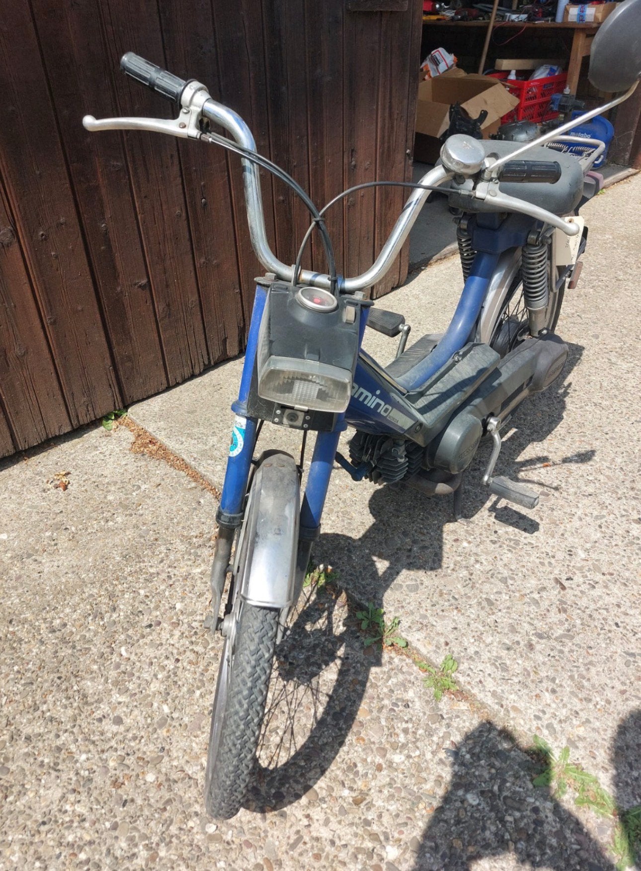 Découverte d'un cabanon HONDA Camino, Autres modèles, 0 vitesses, 49 cm³, Classe B (45 km/h)