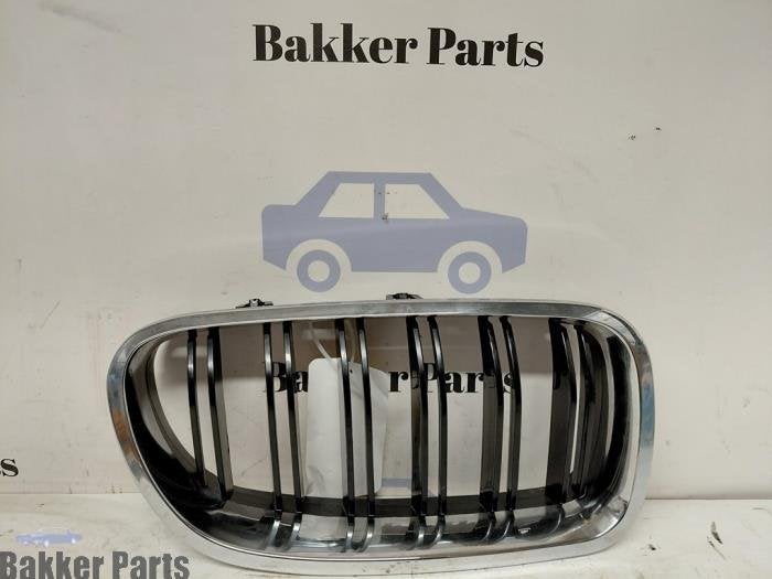 Calandre d'un BMW 5-Serie, -, -, 3 mois de garantie, Utilisé