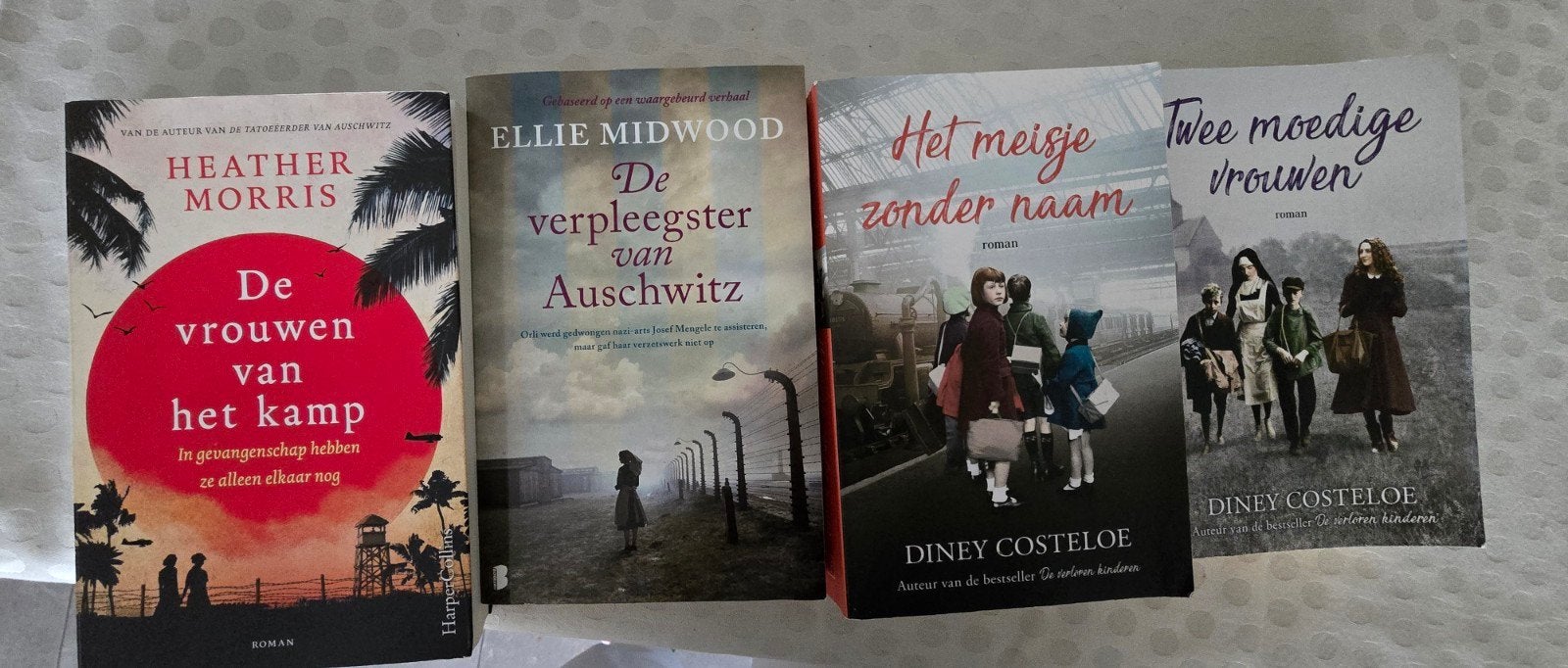 De moeite waard om te lezen, Livres, Romans, Enlèvement ou Envoi