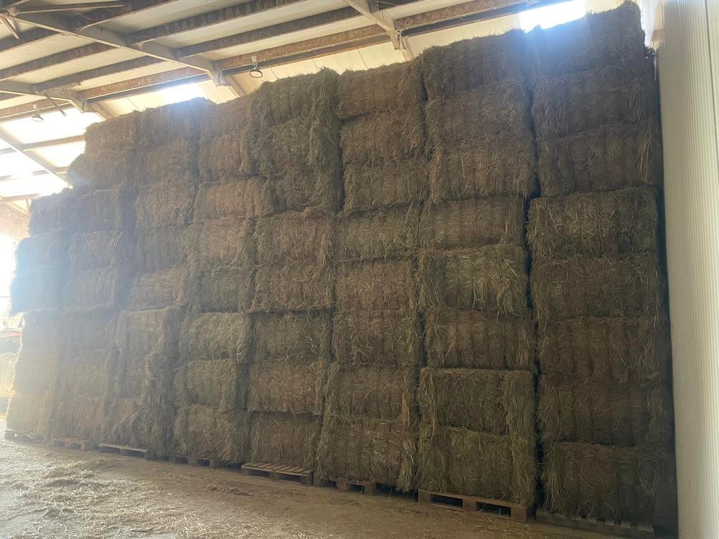 Platte balen kwaliteit hooi, Zakelijke goederen, Landbouw | Onroerend goed, Ophalen of Verzenden