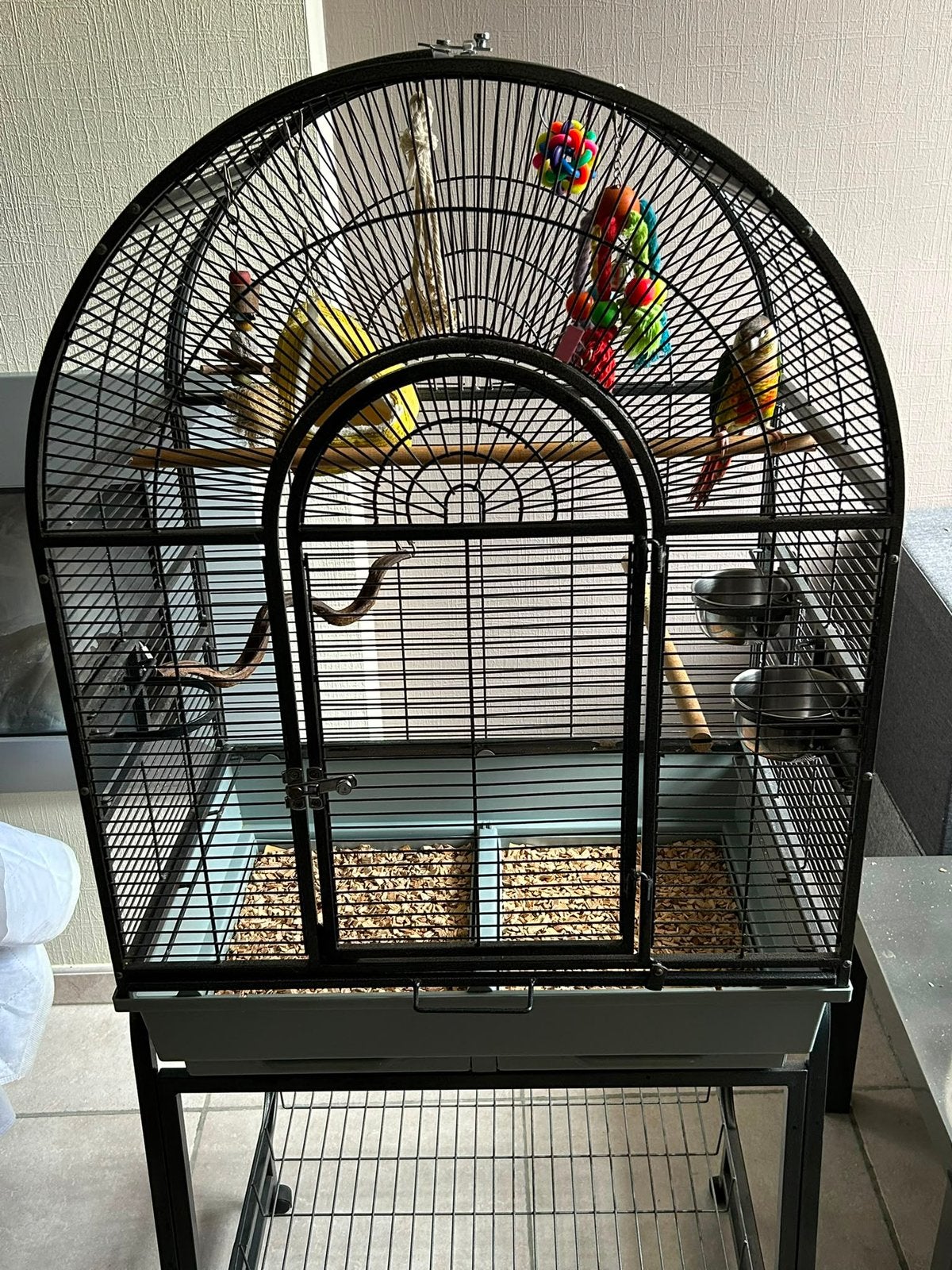 Phyrrhura (Loki) zoekt een ervaren nieuwe thuis, Ophalen, Zo goed als nieuw, Metaal, Vogelkooi