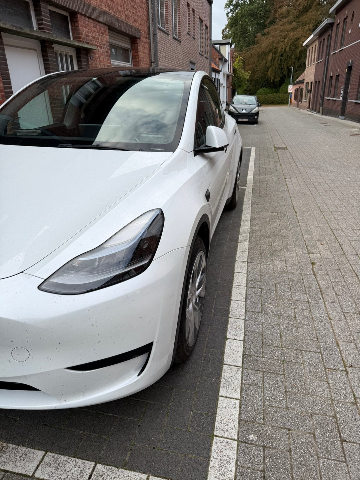 Tesla y à vendre, Cuir, Achat, Entreprise, Noir