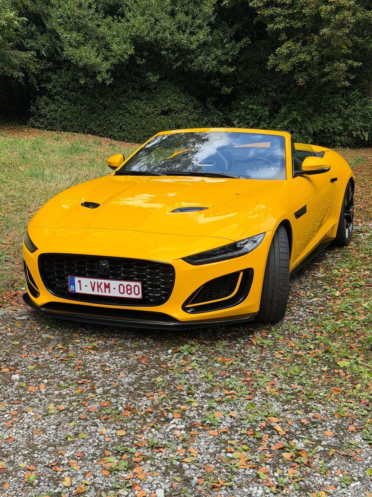 Jaguar F-type P450 V8 cabrio, Auto's, Automaat, Dealer onderhouden, https://public.car-pass.be/2345-6789-1234, F-type
