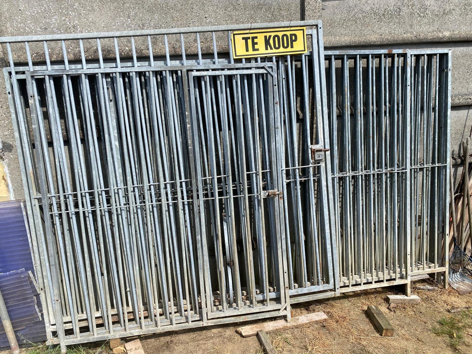 Honden ren, Ophalen, Hondenkennel, 100 cm of meer, 110 cm of meer