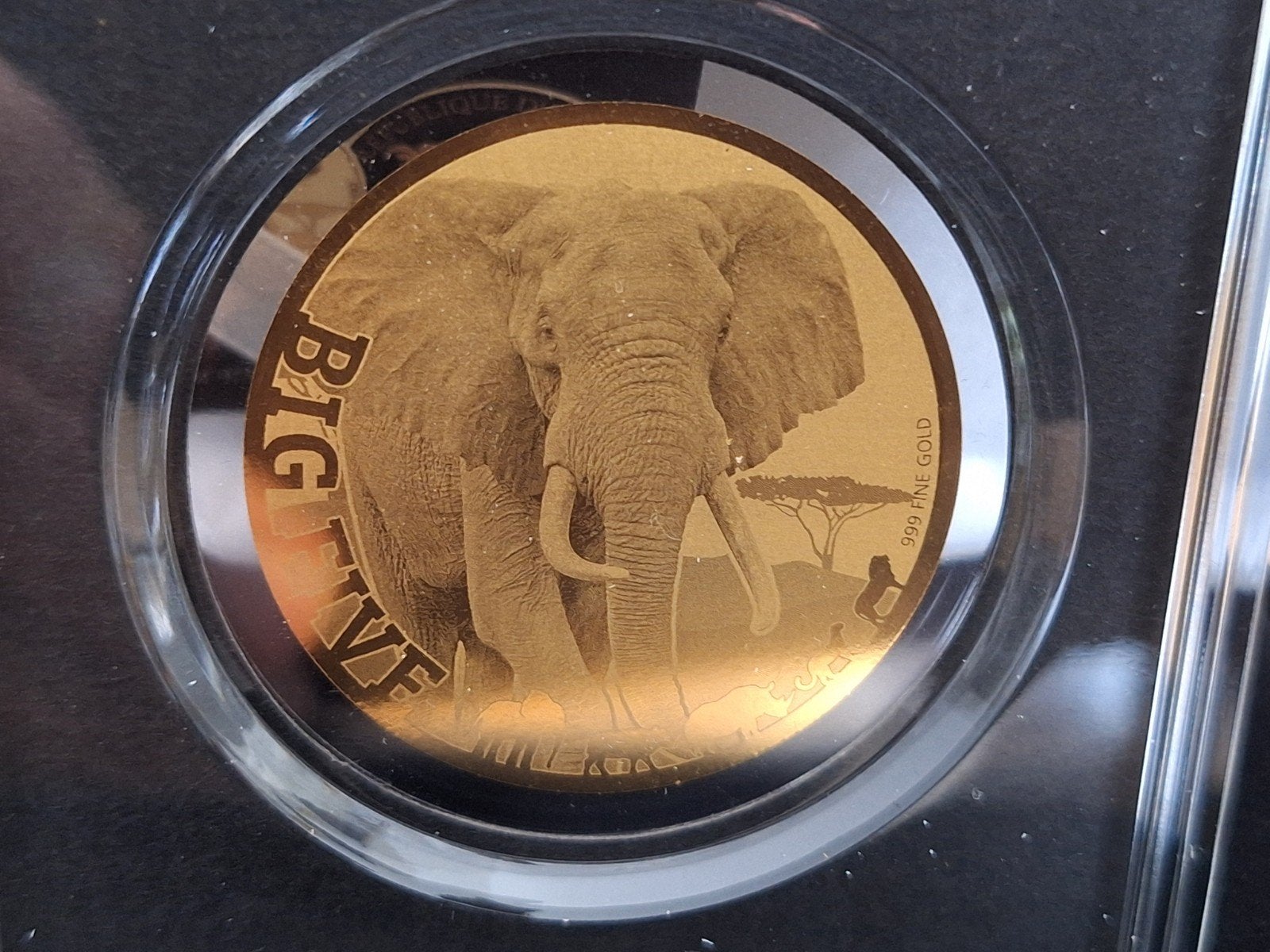 Pièce en or « Big Five » en forme d'éléphant — 1/200 oz, Timbres & Monnaies, Enlèvement ou Envoi, Or