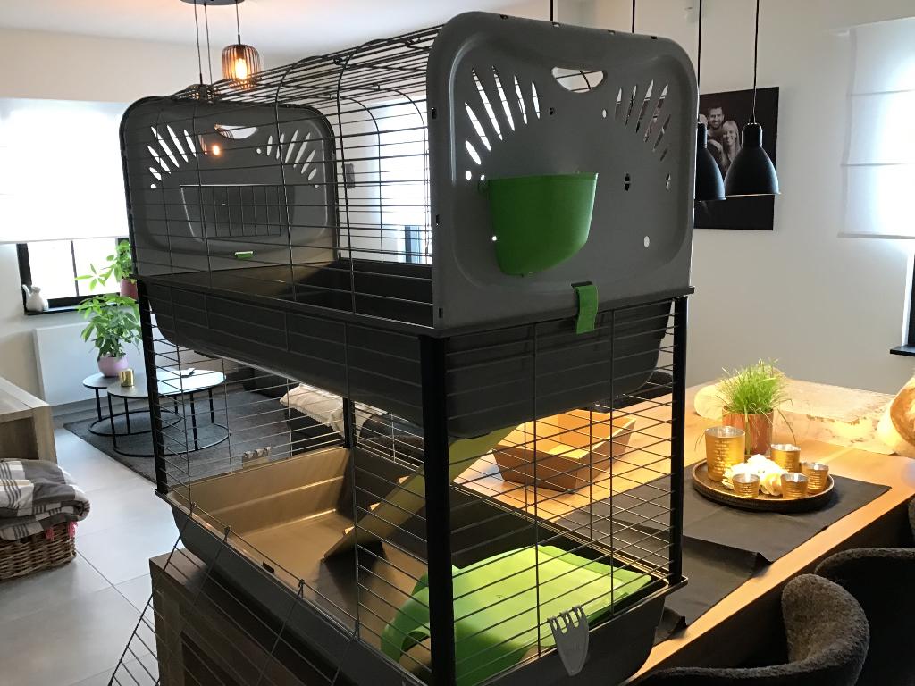 Kooi voor cavia’s of konijnen, Dieren en Toebehoren, Ophalen, Kooi, Zo goed als nieuw, 90 cm of meer