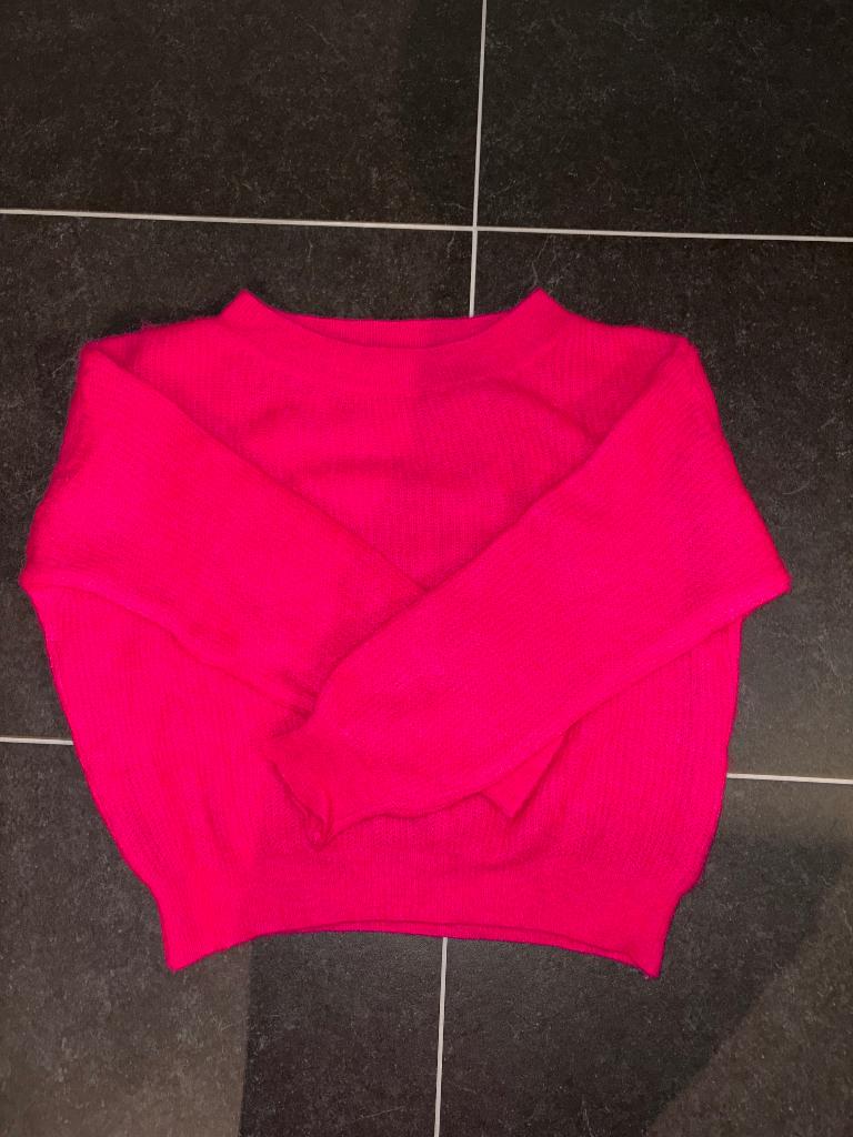 Roze trui Mika Elles, Kleding | Dames, Ophalen of Verzenden, Zo goed als nieuw, Roze, Maat 36 (S)