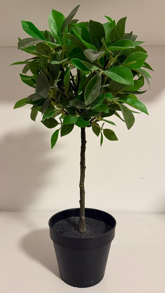 Ficus Kunstplant 42 cm Hoog, Huis en Inrichting, Groen, Onderhoudsvrij, Kunstplant, Nieuw