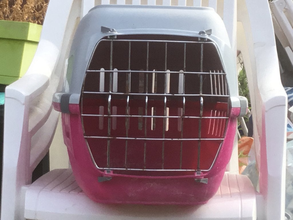 Reismand kat, Ophalen