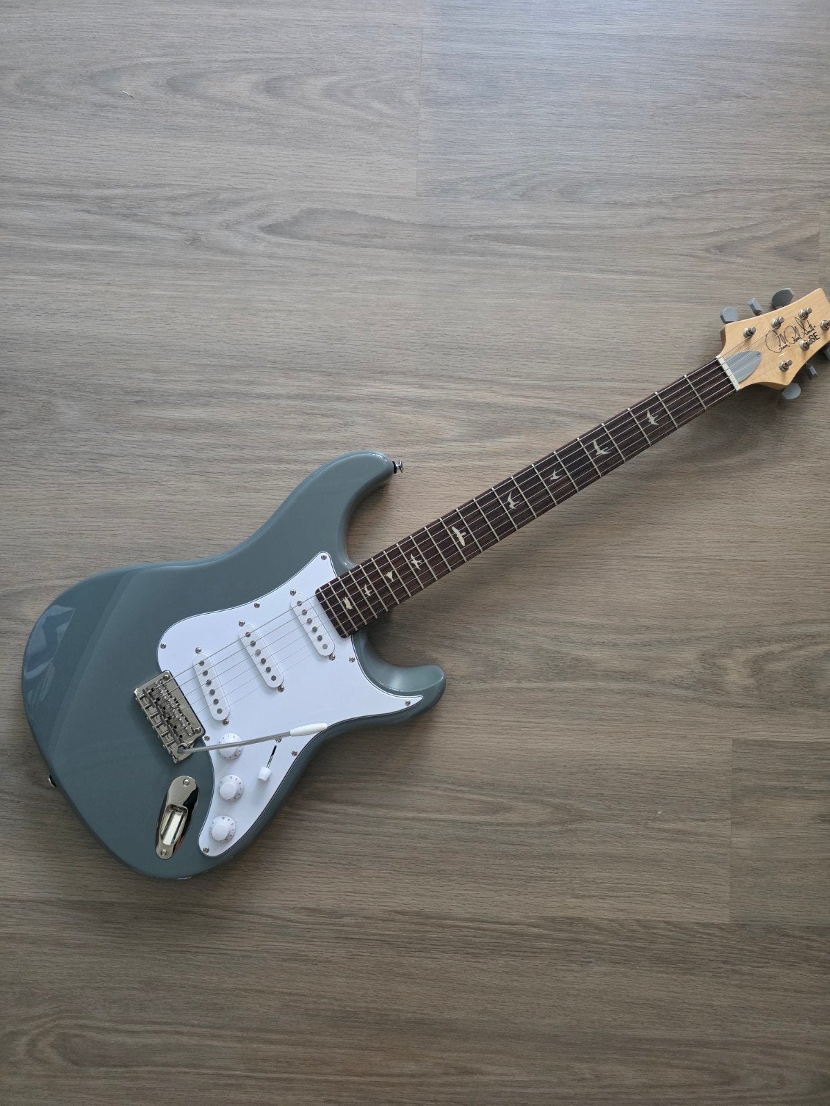 PRS SE Silver Sky Storm Gray, Ophalen