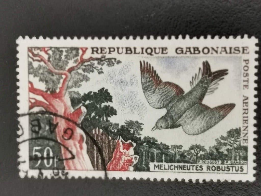 Gabon 1961 - vogels - Lierstaarthoningspeurder, Verzenden, Overige landen, Gestempeld