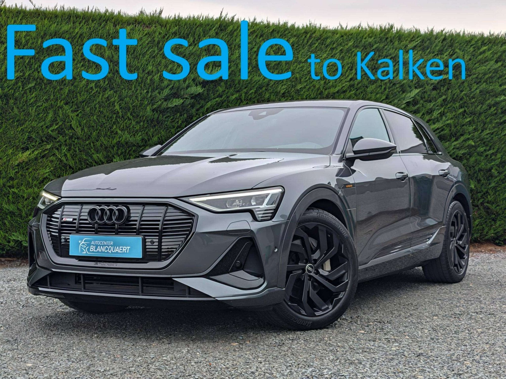 Audi Q8 e-tron !verkocht ! vendue!(Q8) S-line - camera - tre, Autos, Argent ou Gris, Achat, 408 ch, 5 portes