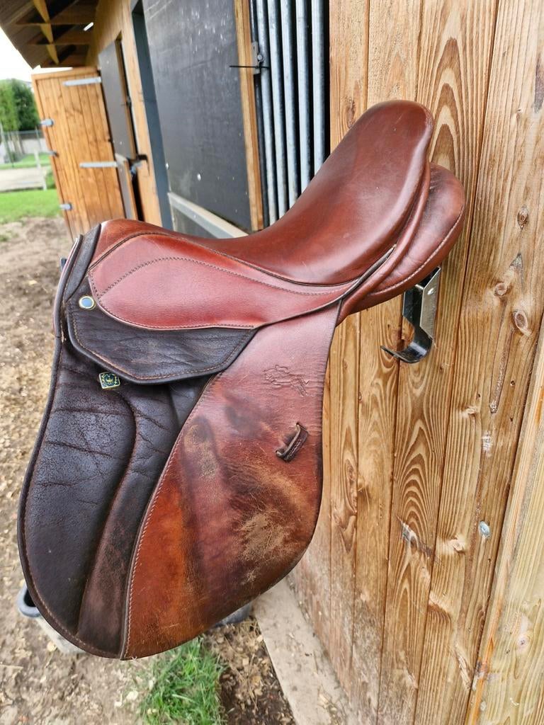 Sprinzadel 16" Stubben, Dieren en Toebehoren, Ophalen, Gebruikt, Springen