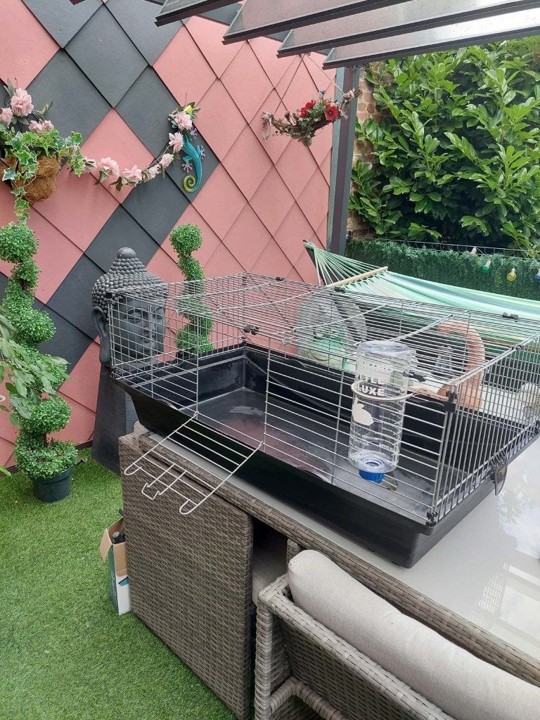 Cage pour lapin ou autre, Animaux & Accessoires, Cobaye, 75 à 110 cm, Cage, Comme neuf