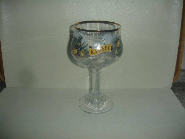 Bierglas Kasteel Bier Tropical, 33cl M25, € 2,50, Ophalen of Verzenden, Zo goed als nieuw, Glas of Glazen, Overige merken