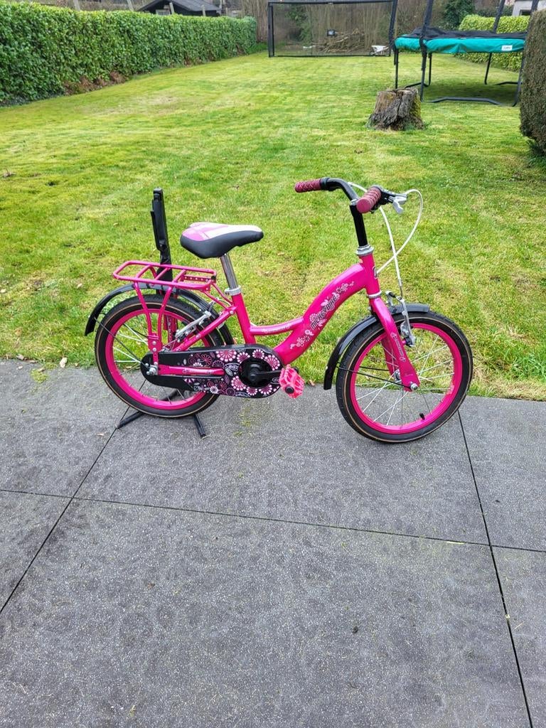 Meisjesfiets, Fietsen en Brommers, Fietsen | Kinderfietsjes, Ophalen