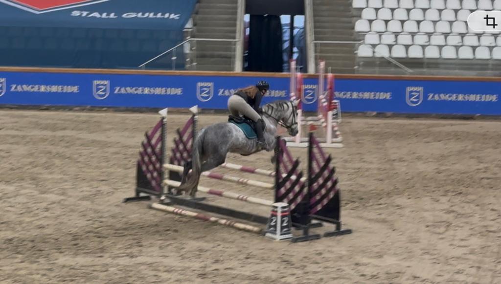 Lieve, eerlijke allround merrie, Dieren en Toebehoren, Paarden
