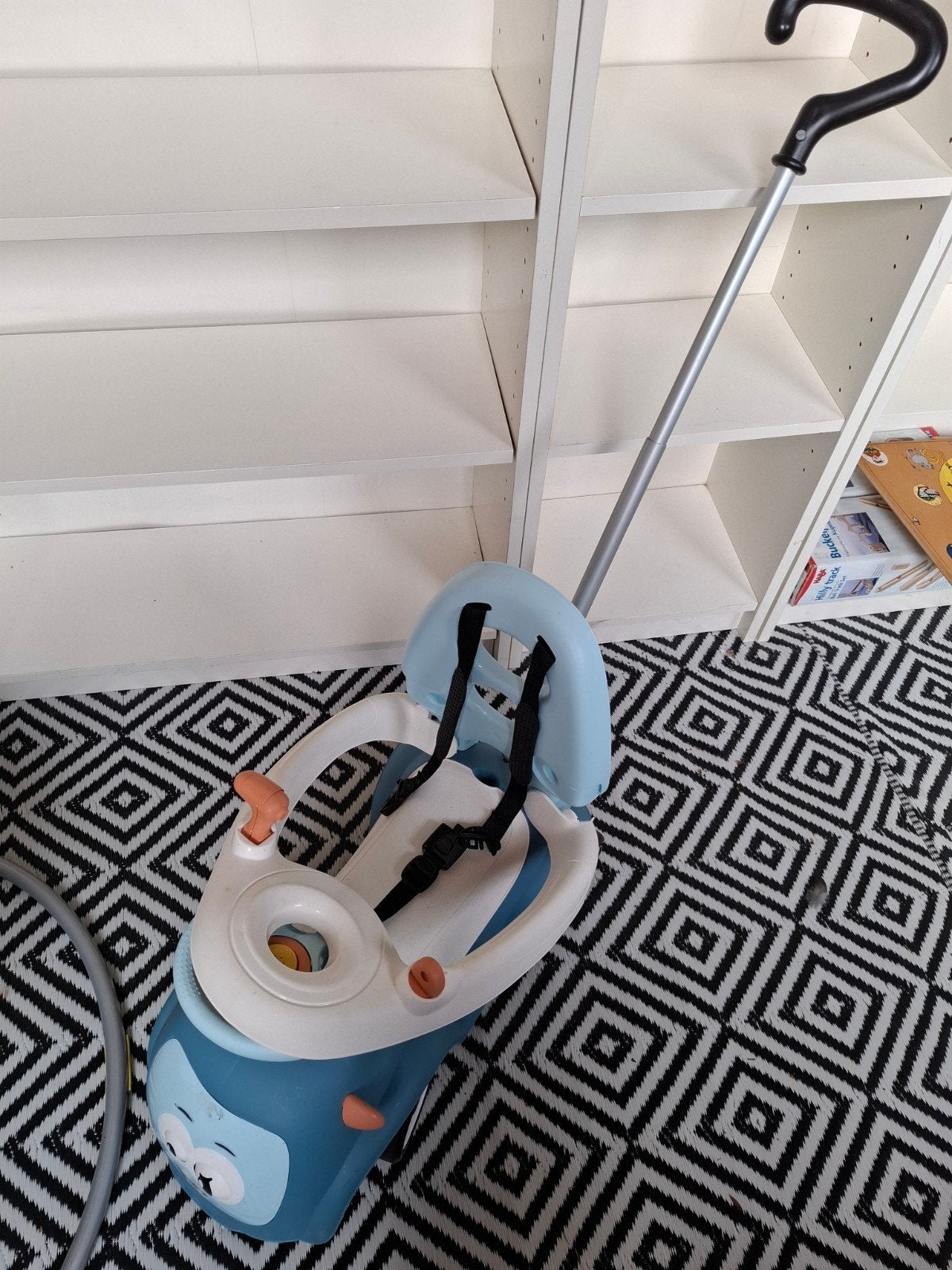loopwagentje ( smoby ), Ophalen