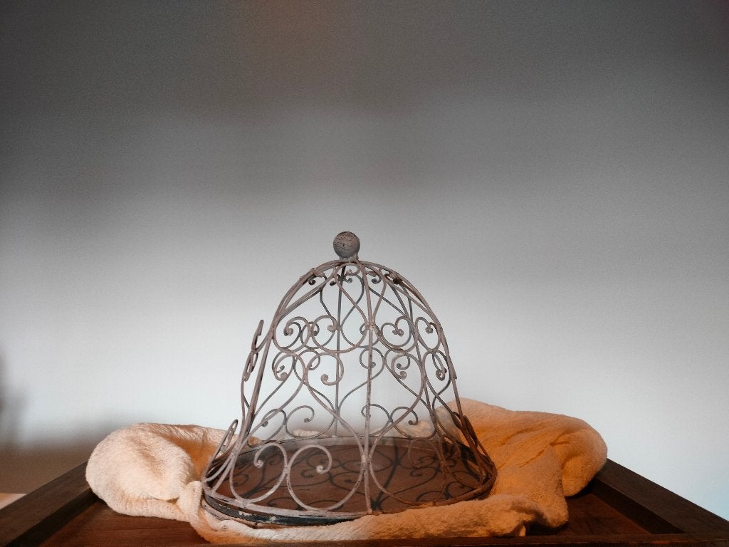 Decoratieve schotel met stolp in metaal, Huis en Inrichting, Woonaccessoires | Stolpen, 30 cm, Ophalen of Verzenden, Zo goed als nieuw